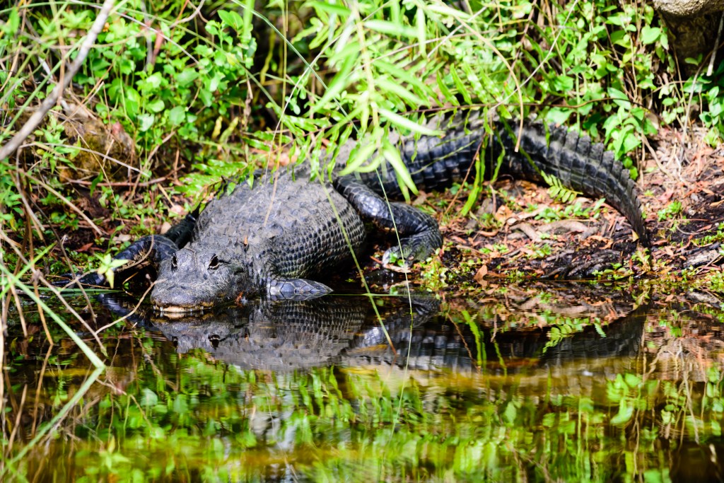 Things to Do&nbsp;2022