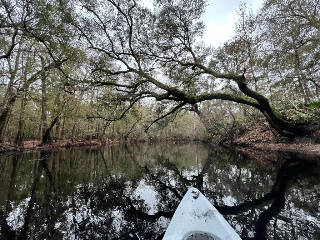 O’Leno State Park and River&nbsp;Rise