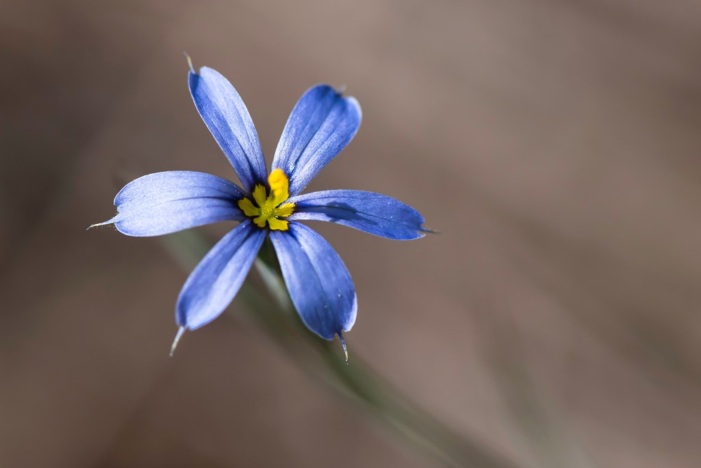 Babcock Webb Wildlife Management&nbsp;Area
