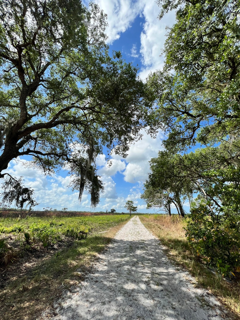 Summertime Florida Hiking