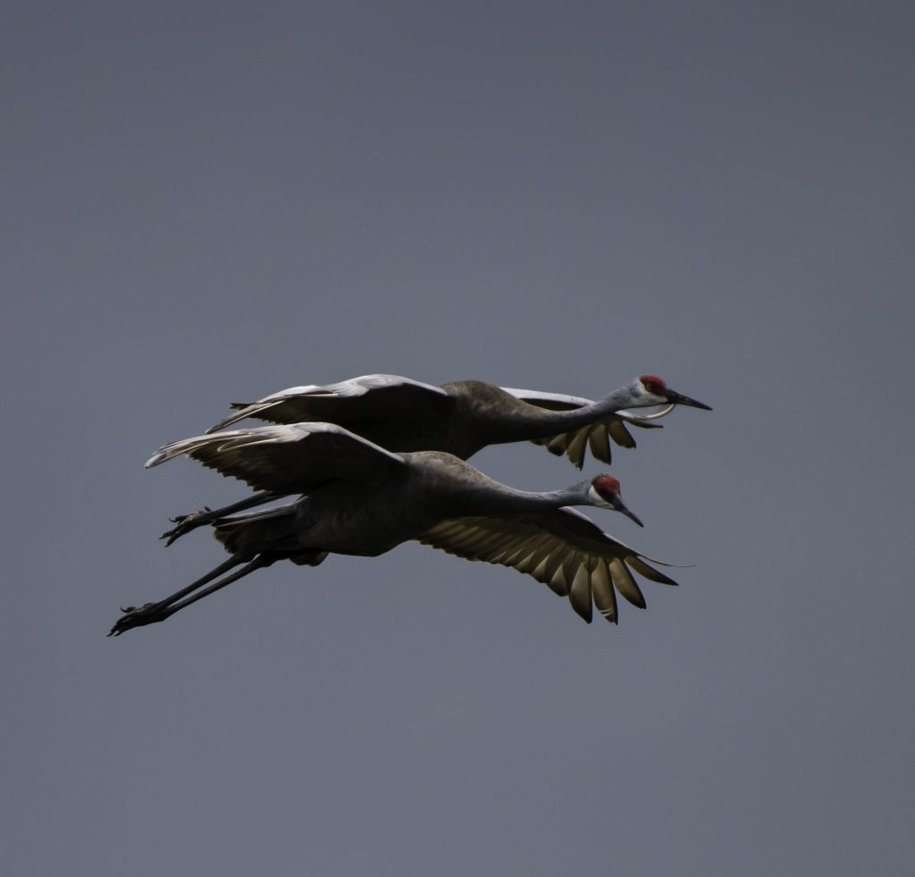 What is Sustainability?